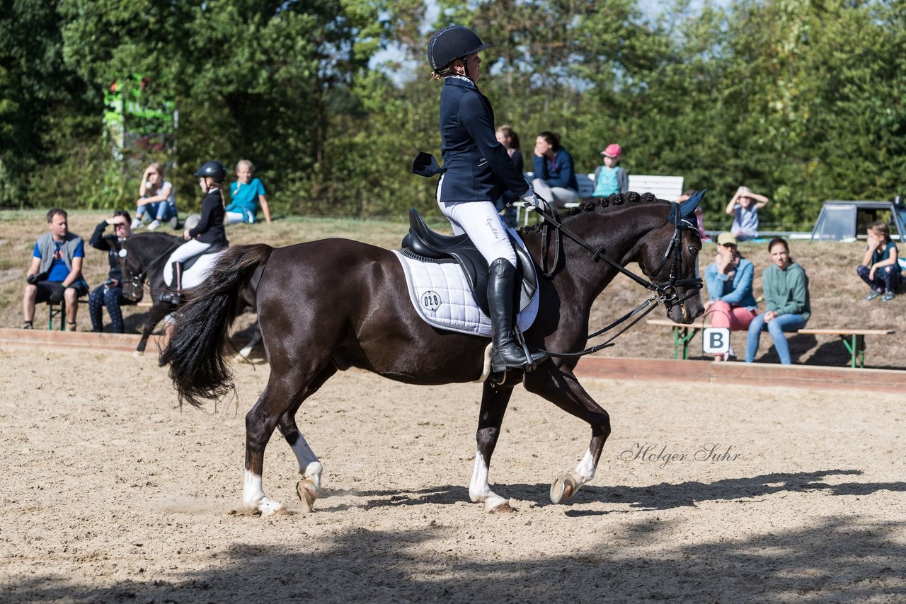 Bild 30 - Pony Akademie Turnier